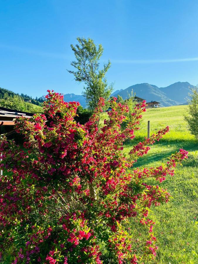 Haus Asslaber Διαμέρισμα Hochfilzen Εξωτερικό φωτογραφία